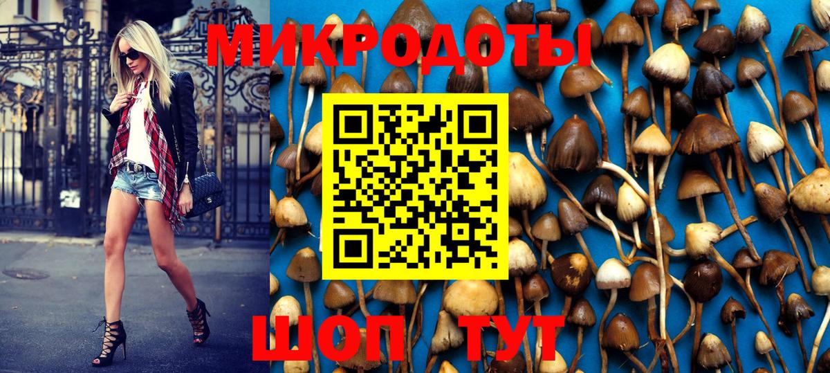 Михайловск  Псилоцибиновые грибы Psilocybine cubensis  Вход с VPN 