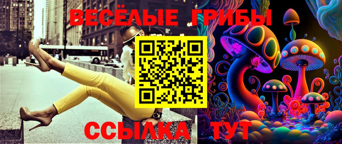 Псилоцибиновые грибы Psilocybine cubensis Михайловск